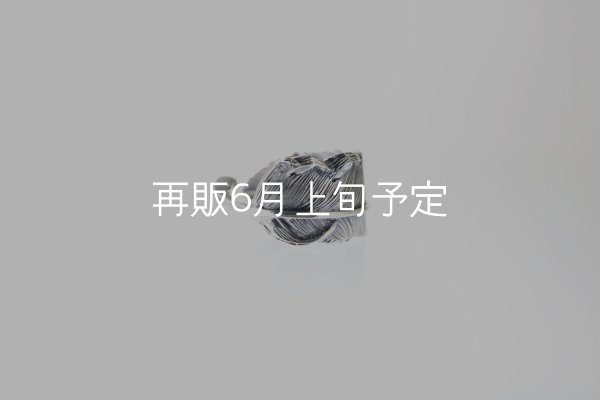 画像5: 千年フェザー(L1)リング  (5)
