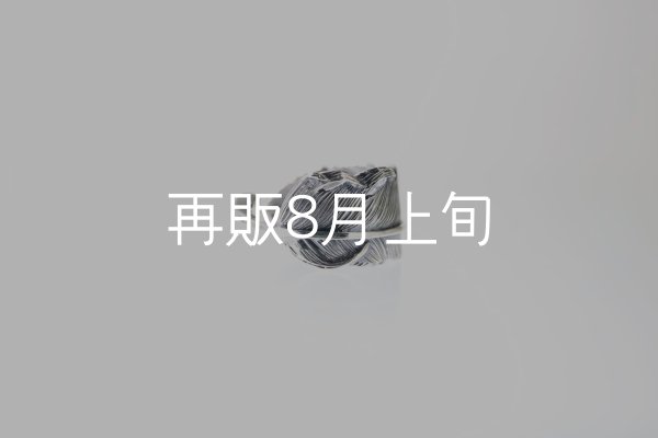 画像5: 千年フェザー(L1)リング  (5)