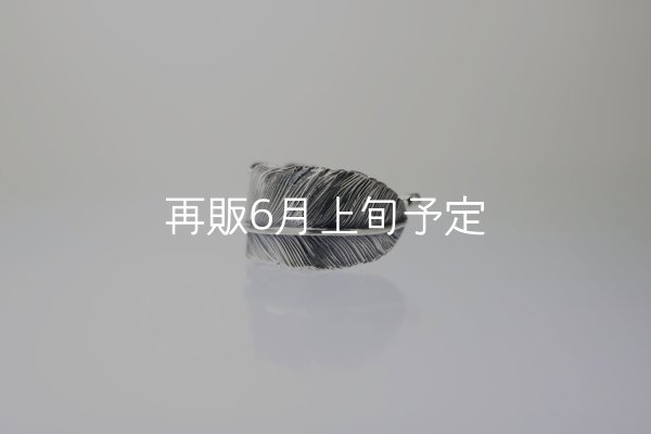 画像3: 千年フェザー(L1)リング  (3)