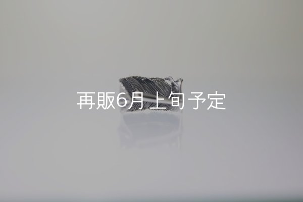 画像4: 千年フェザー(L1)リング  (4)