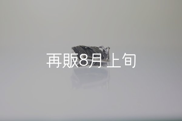画像4: 千年フェザー(L1)リング  (4)
