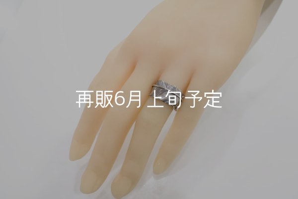 画像7: 千年フェザー(L1)リング  (7)