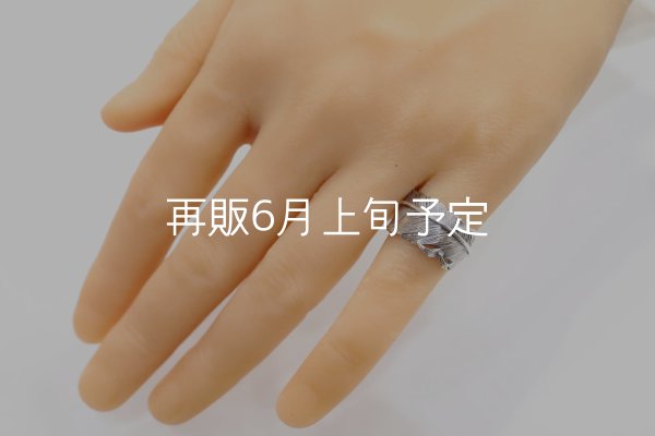 画像8: 千年フェザー(L1)リング  (8)