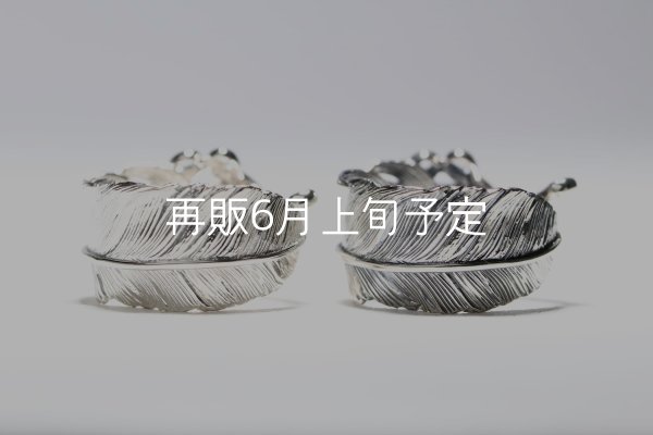 画像4: 千年フェザー(L1)  石付きリング  (4)