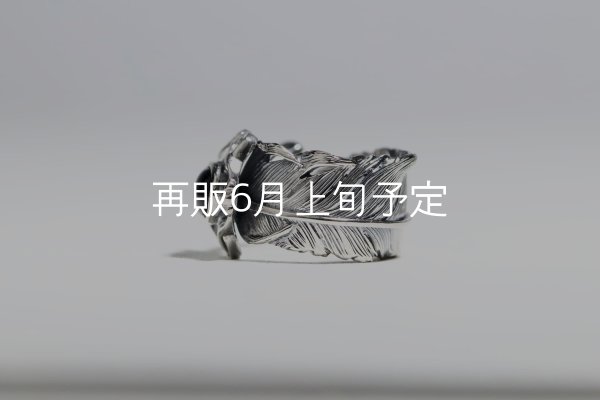 画像3: 千年フェザー(L1)  石付きリング  (3)
