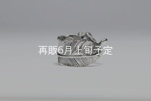 画像5: 千年フェザー(L1)  石付きリング  (5)