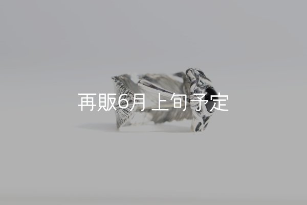 画像6: 千年フェザー(L1)  石付きリング  (6)