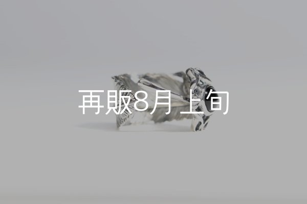 画像6: 千年フェザー(L1)  石付きリング  (6)