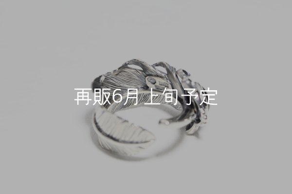 画像7: 千年フェザー(L1)  石付きリング  (7)