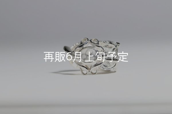 画像8: 千年フェザー(L1)  石付きリング  (8)