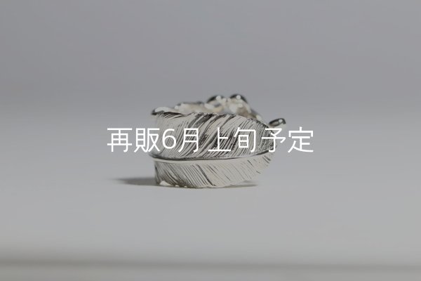 画像9: 千年フェザー(L1)  石付きリング  (9)