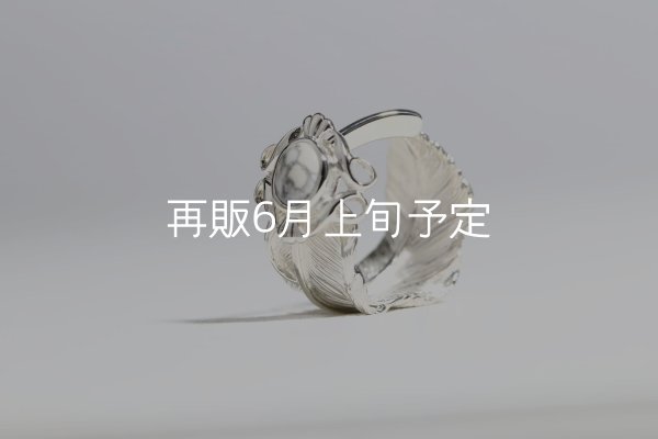 画像10: 千年フェザー(L1)  石付きリング  (10)