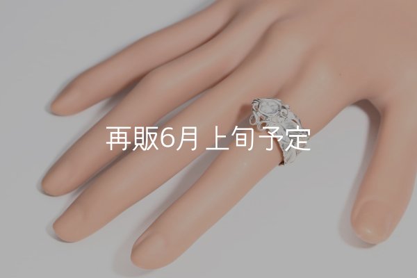画像17: 千年フェザー(L1)  石付きリング  (17)