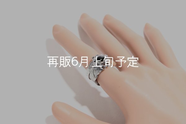画像12: 千年フェザー(L1)  石付きリング  (12)