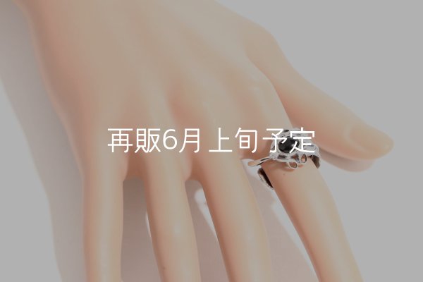 画像14: 千年フェザー(L1)  石付きリング  (14)