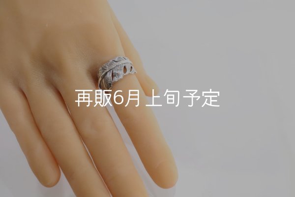 画像9: 千年フェザー(LL1)リング  ■雑誌掲載  (9)