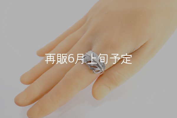 画像10: 千年フェザー(LL1)リング  ■雑誌掲載  (10)
