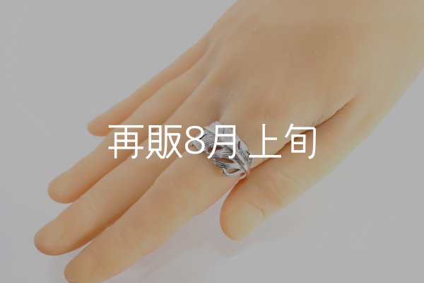 画像10: 千年フェザー(LL1)リング  ■雑誌掲載  (10)