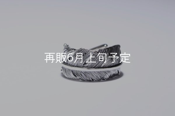 画像2: 千年フェザー(LL1)リング  ■雑誌掲載  (2)