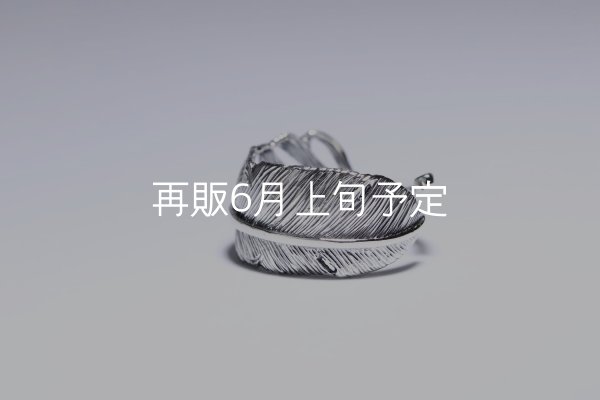 画像3: 千年フェザー(LL1)リング  ■雑誌掲載  (3)