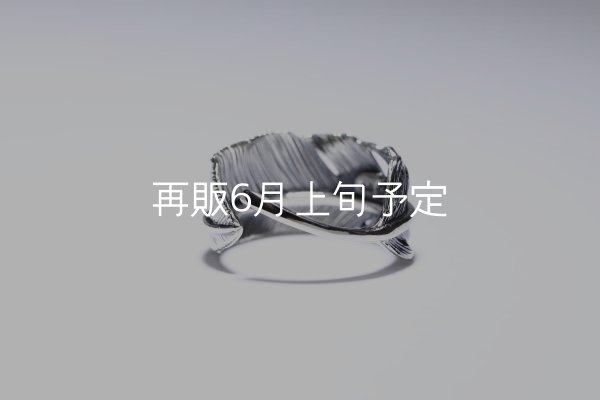 画像4: 千年フェザー(LL1)リング  ■雑誌掲載  (4)