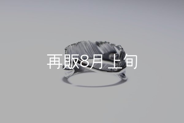 画像4: 千年フェザー(LL1)リング  ■雑誌掲載  (4)