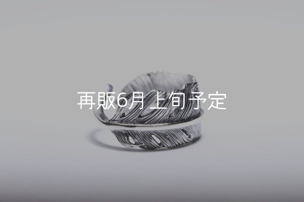 画像5: 千年フェザー(LL1)リング  ■雑誌掲載  (5)
