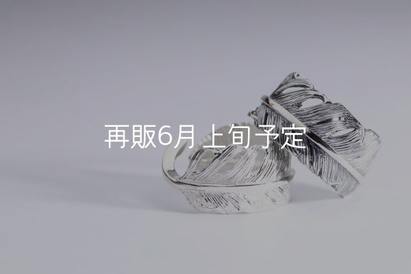 画像1: 千年フェザー(LL1)リング  ■雑誌掲載  (1)