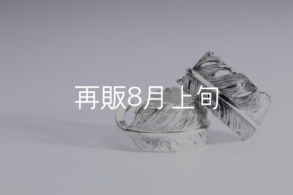 画像1: 千年フェザー(LL1)リング  ■雑誌掲載  (1)