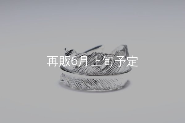画像6: 千年フェザー(LL1)リング  ■雑誌掲載  (6)
