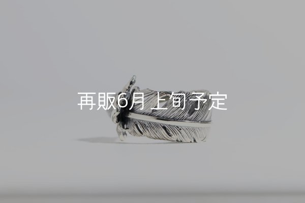 画像2: 千年フェザー(LL1)  マグネサイトリング  (2)
