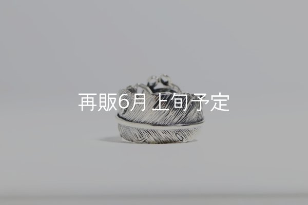 画像3: 千年フェザー(LL1)  マグネサイトリング  (3)