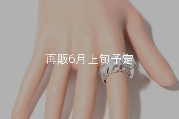 画像12: 千年フェザー(LL1)  マグネサイトリング  (12)