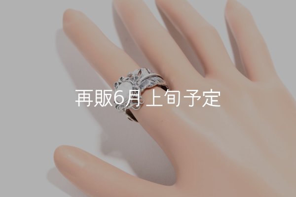 画像8: 千年フェザー(LL1)  マグネサイトリング  (8)