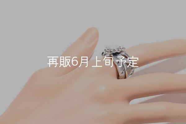 画像10: 千年フェザー(LL1)  マグネサイトリング  (10)