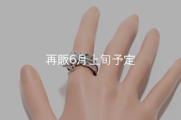 画像9: 千年フェザー(LL1)  マグネサイトリング  (9)