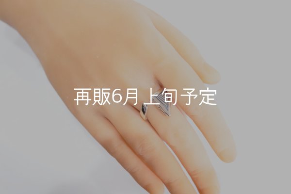 画像8: ウォーボンネットリング A  (8)