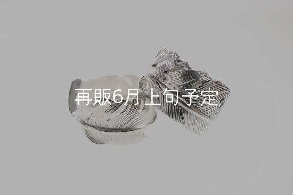 画像1: 千年フェザー(XL1)リング  ■雑誌掲載  (1)