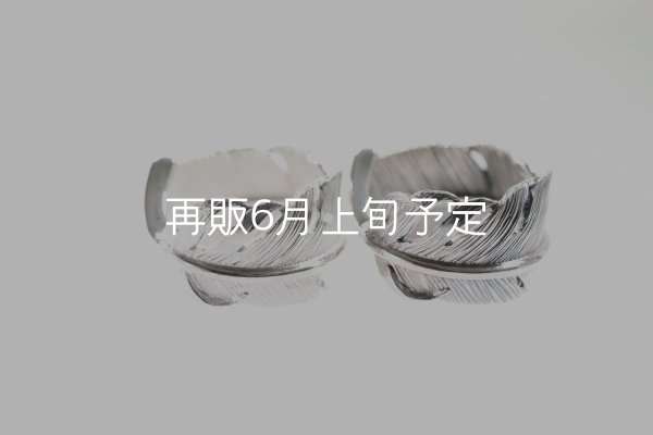 画像2: 千年フェザー(XL1)リング  ■雑誌掲載  (2)