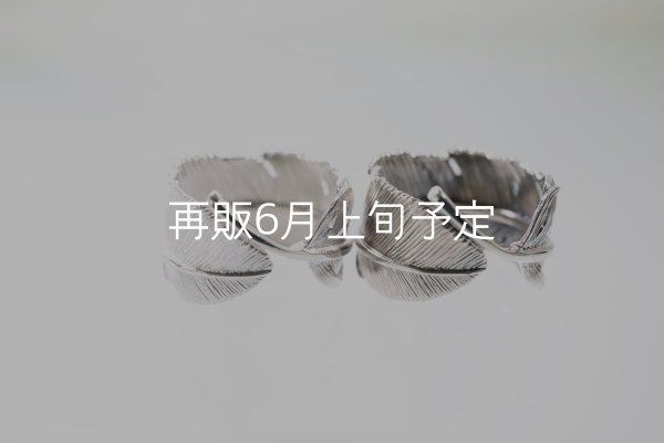 画像3: 千年フェザー(XL1)リング  ■雑誌掲載  (3)