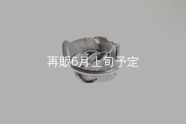 画像4: 千年フェザー(XL1)リング  ■雑誌掲載  (4)