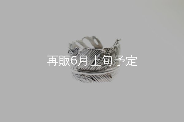 画像6: 千年フェザー(XL1)リング  ■雑誌掲載  (6)