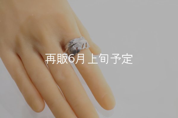 画像8: 千年フェザー(XL1)リング  ■雑誌掲載  (8)