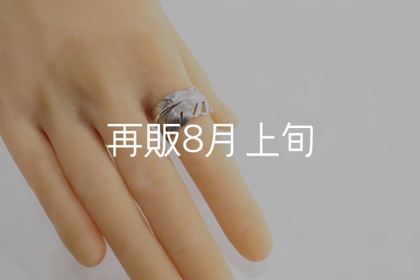 画像8: 千年フェザー(XL1)リング  ■雑誌掲載  (8)