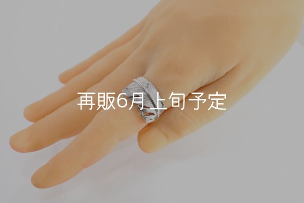 画像9: 千年フェザー(XL1)リング  ■雑誌掲載  (9)