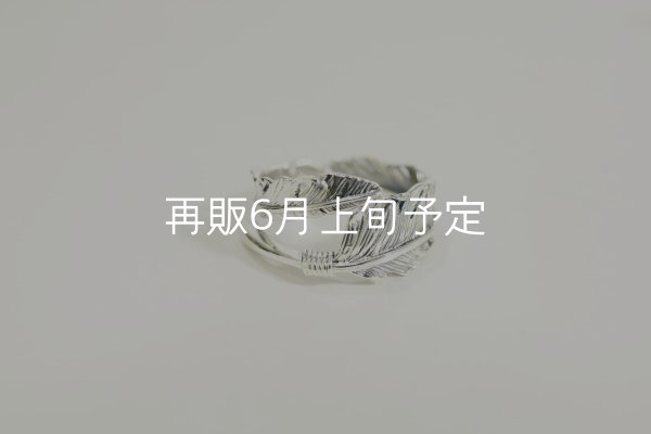 画像1: 風切羽リング  (1)