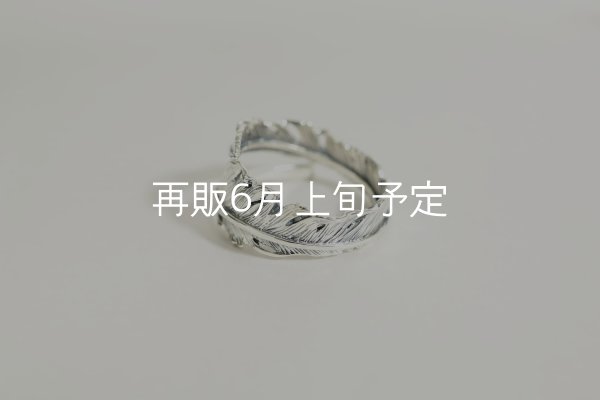 画像2: 風切羽リング  (2)