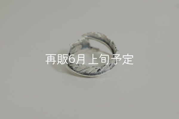 画像3: 風切羽リング  (3)