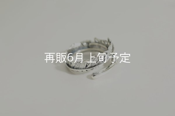画像4: 風切羽リング  (4)