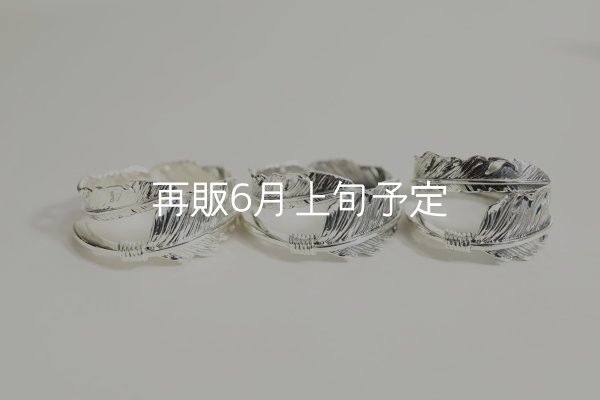 画像6: 風切羽リング  (6)